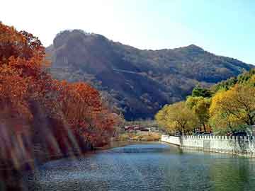 新澳门期期准精准，山东硅藻土